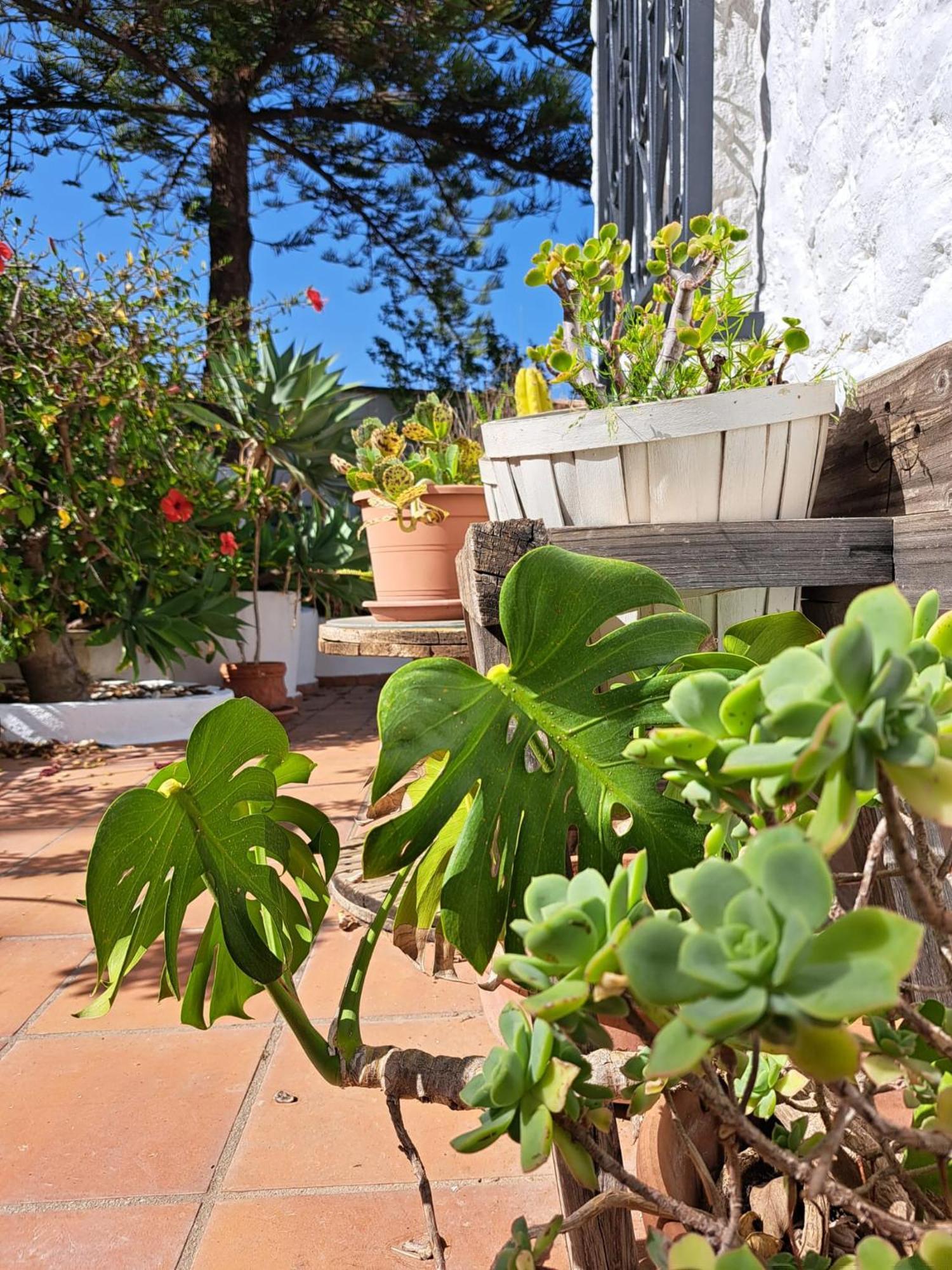 Casa Campo Mijas Costa Del Sol Malaga Ngoại thất bức ảnh